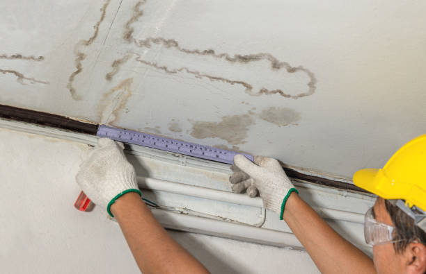Reliable Water Damage contractor in Ney, OH by Water Damage Irwin